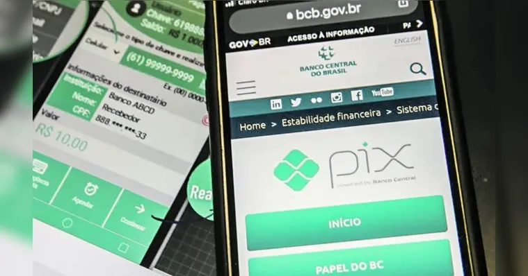 Imagem ilustrativa da notícia Urubu do Pix? Saiba o que é e como se proteger do golpe 