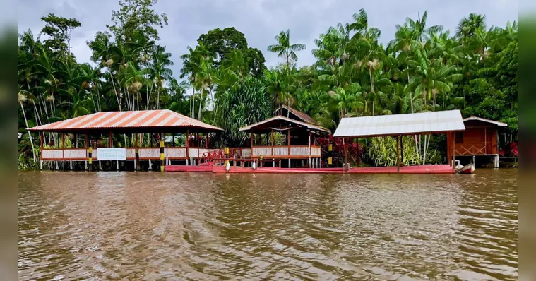 Imagem ilustrativa da notícia Sabores do verão: restaurantes unem gastronomia e Amazônia
