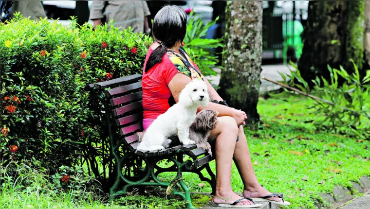 Imagem ilustrativa da notícia Alta temperatura requer ainda mais cuidado com os pets