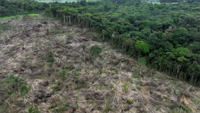Imagem ilustrativa da notícia Evitar desmatamento garantirá recursos do Fundo Amazônia