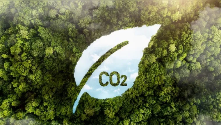 Imagem ilustrativa da notícia Mercado de carbono: como funciona e qual a importância