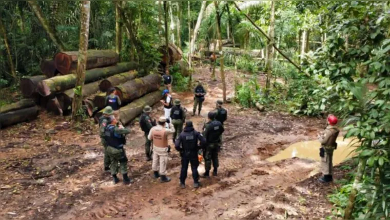 Imagem ilustrativa da notícia Operação Curupira realiza mais de 300 ações no Pará