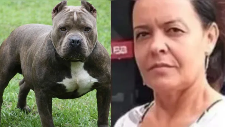 Imagem ilustrativa da notícia Mulher é morta por pitbull ao tentar separar briga de cães
