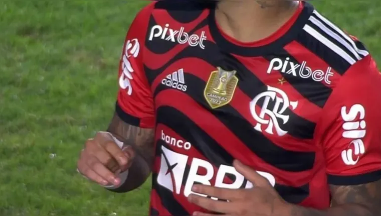 Imagem ilustrativa da notícia Com direito a "gafe", Flamengo vence o Santos de virada