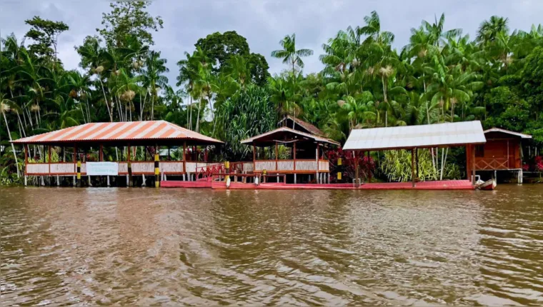 Imagem ilustrativa da notícia Sabores do verão: restaurantes unem gastronomia e Amazônia