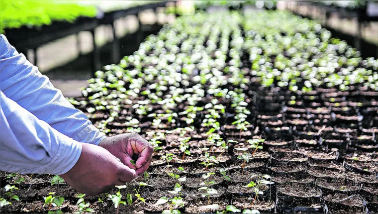 Imagem ilustrativa da notícia Ações voltadas para a sustentabilidade