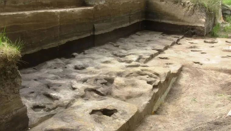 Imagem ilustrativa da notícia Pegadas humanas de 300 mil anos são achadas na Alemanha