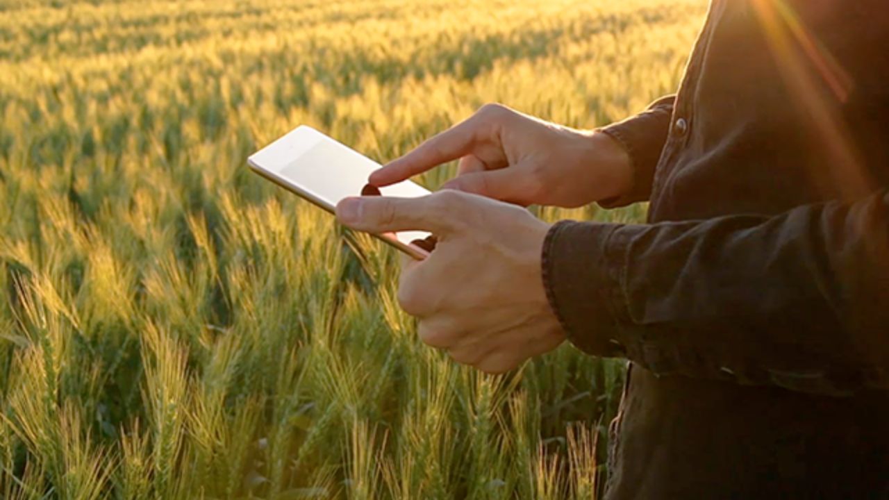 Coluna Mauro Bonna: Bradesco lança o E-agro