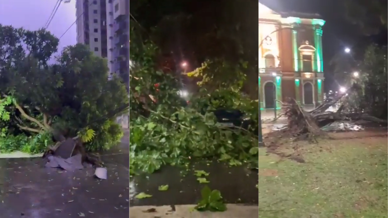 Chuva derruba árvores e causa queda de energia em Belém