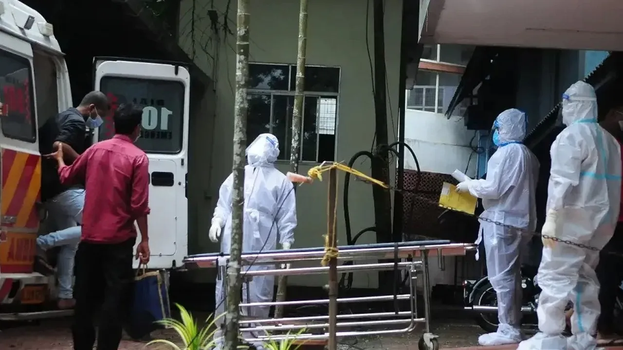 Nipah: vírus tem taxa de mortalidade de 40% a 75%