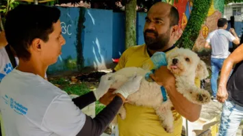 Vacinação antirrábica será realizada neste sábado (30) em vários pontos de Mosqueiro