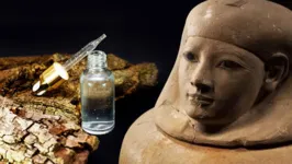 Pesquisadores dizem ter descoberto o "cheiro da vida após a morte" analisando restos mumificados de uma antiga nobre senhora egípcia.