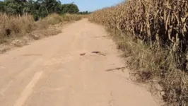 Corpo da mulher foi encontrado na beira de estrada