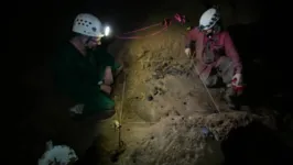 Imagem ilustrativa da notícia Paraenses descobrem fóssil de "preguiça gigante" em Aveiro