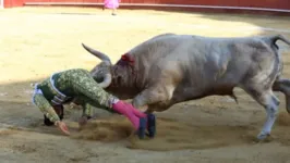Toureiro Alejandro Conquero é chifrado no reto ao se apresentar em arena de touros em Madri.