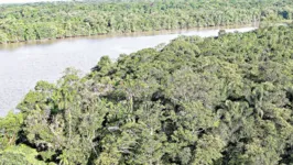 O programa Descarboniza Pará pretende implantar ações para o desenvolvimento da Amazônia
