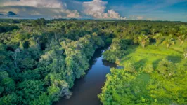 A Amazônia e as mudanças climáticas são o foco principal dos Diálogos Amazônicos.