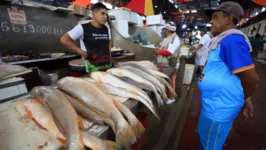 Queda pode ser explicada por conta do maré que está boa para a pesca