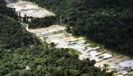 De acordo com dados da Polícia Federal a diminuição das áreas de garimpagem clandestinas foi de de 74,55 km² no primeiro semestre de 2022 para 44,24 km² em 2023.