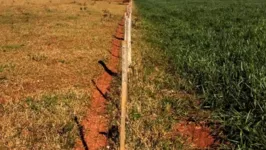 Uma pastagem é considerada degradada quando o solo vai perdendo ou perde totalmente a capacidade de produzir plantas