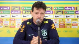 Fernando Diniz, técnico da Seleção Brasileira