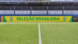 Baenão passou por cuidados especiais para receber