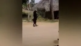 O animal, que teria sido treinado pelo povo local a andar 'de pé' para poder acompanhar os humanos, viralizou nas redes sociais.