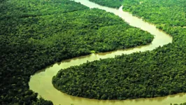 Países amazônicos debatem soluções para a floresta em uma série de eventos na capital paraense