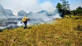 Crise climática iminente já acende alertas ao redor do mundo