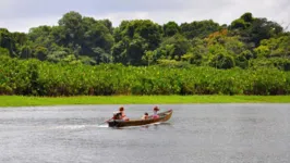 Edital de seleção de projetos do programa "Floresta Viva" será çançado nesta terça-feira (5)