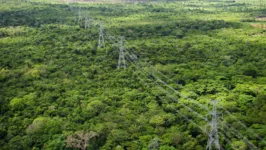 Linhão de Tucuruí chega a municípios isolados do Amazonas e do Pará.