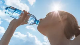 A respiração, a pele, os rins e o coração são algumas das áreas do corpo mais afetadas pelo calor contínuo, segundo o médico Abrão Cury.