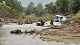 Seca dos rios no Amazonas preocupa