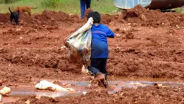 Trabalho infantil e análogo à escravidão era praticado por fornecedores de cacau para a Cargill em propriedades no Pará e na Bahia