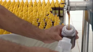 Imagem ilustrativa do vídeo: Conheça mais sobre a cadeia produtiva do Mel no Pará