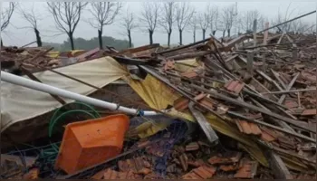 Imagem ilustrativa da notícia RS decreta calamidade pública após ciclone deixar 32 mortos
