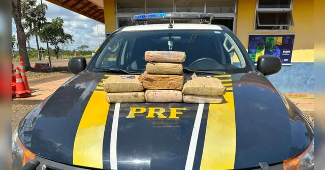 Imagem ilustrativa da notícia PRF apreende mais de 8 kg de maconha em Altamira 