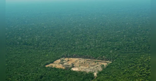 Imagem ilustrativa da notícia Queda no desmatamento da Amazônia se consolida sob Lula