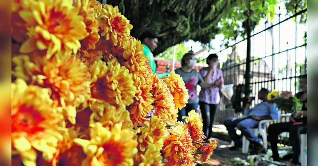 Imagem ilustrativa da notícia Velas e flores estão mais caras no cemitério