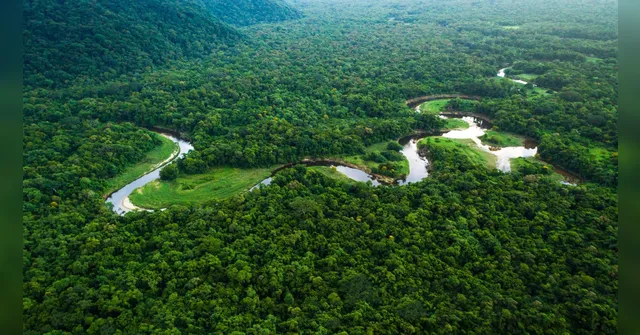 Imagem ilustrativa da notícia Ministros falam sobre os "Diálogos Amazônicos" em Belém