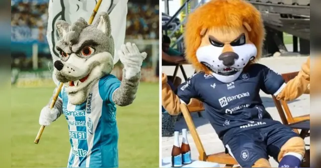 Imagem ilustrativa da notícia Dupla Re-Pa tem até sexta-feira (4) para contratar reforços