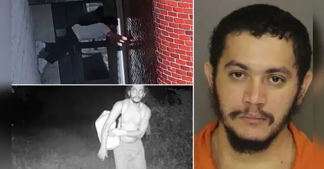 Imagem ilustrativa da notícia EUA: brasileiro fugitivo rouba fuzil e é visto por moradores
