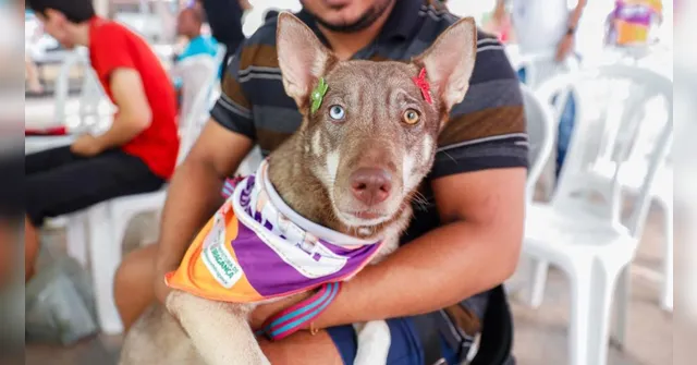 Imagem ilustrativa da notícia Ação realiza castração de cães e gatos em Bragança