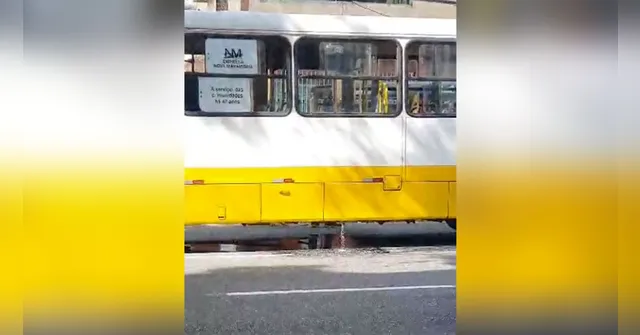 Imagem ilustrativa da notícia Ciclista perfura tanque de ônibus que vaza diesel em Belém
