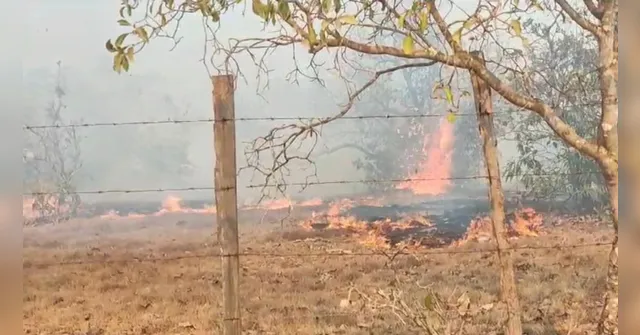 Imagem ilustrativa da notícia Vídeo: Incêndio pode atingir Parque Estadual de Monte Alegre