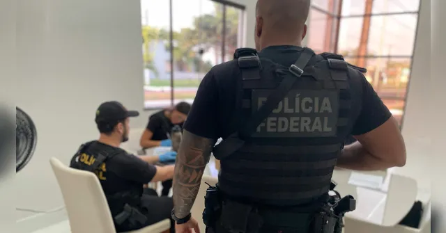 Imagem ilustrativa da notícia PF vai investigar exploração ilegal de madeira no Pará