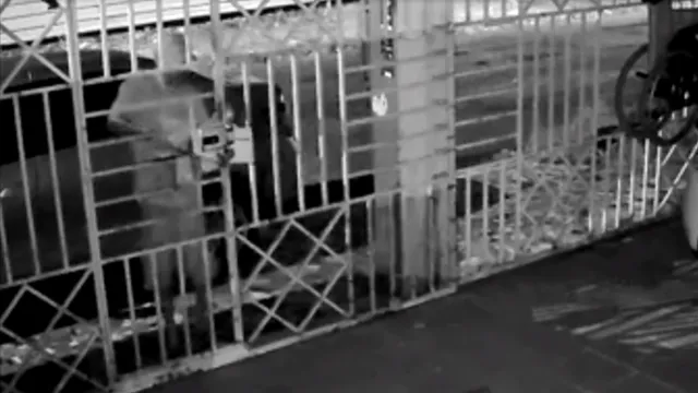 Imagem ilustrativa da notícia Ladrão invade casa e rouba scooter de R$ 12 mil na Pedreira