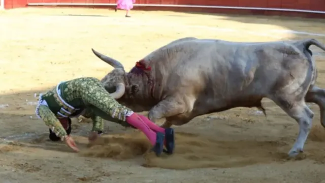 Imagem ilustrativa da notícia Vídeo: toureiro é arremessado e chifrado na região do ânus