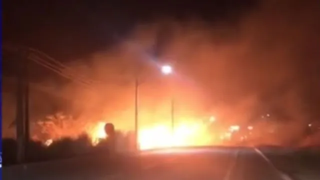 Imagem ilustrativa da notícia Vídeo: incêndio atinge reserva ambiental em Alenquer