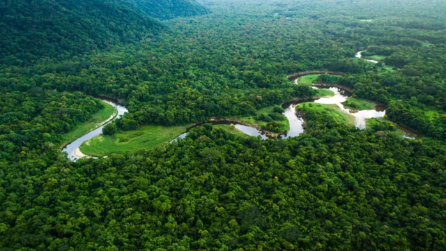 Imagem ilustrativa da notícia Ministros falam sobre os "Diálogos Amazônicos" em Belém